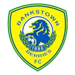 Canterbury Bankstown