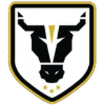 Bulls Academy