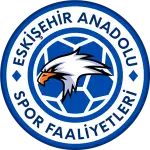Anadolu Üniversitesi