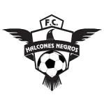 Halcones Negros