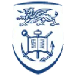 Swansea University