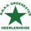 Groene Ster
