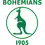 Bohemians 1905 II