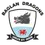 Baglan Dragons