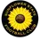 Sunflower State
