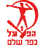Hapoel Kfar Shalem