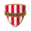 Sokol Brozany