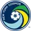 NY Cosmos