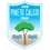 Pineto